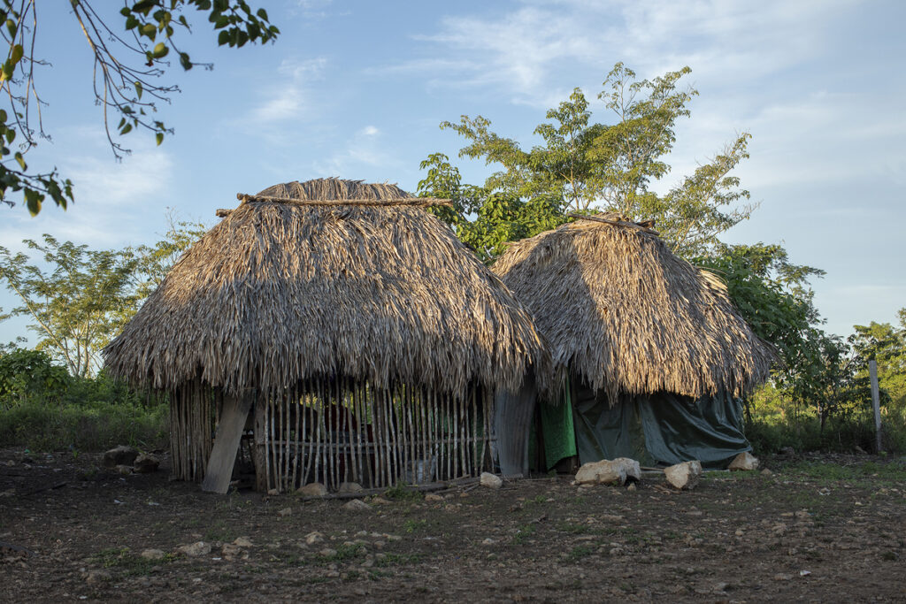 La champa. Fotografía: Xaber Santaquiteria Echarri, enero 2026