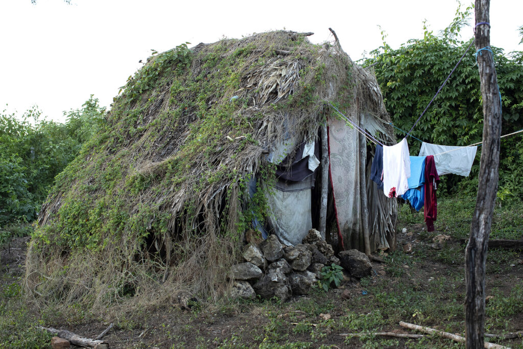 Champa en camuflaje. Fotografía: Xaber Santaquiteria Echarri, enero 2026